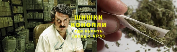 хмурый Арсеньев