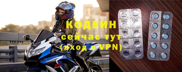 хмурый Арсеньев