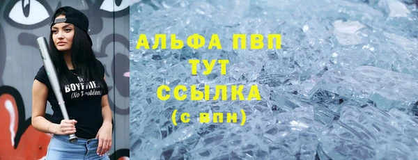 мдпв Дмитров