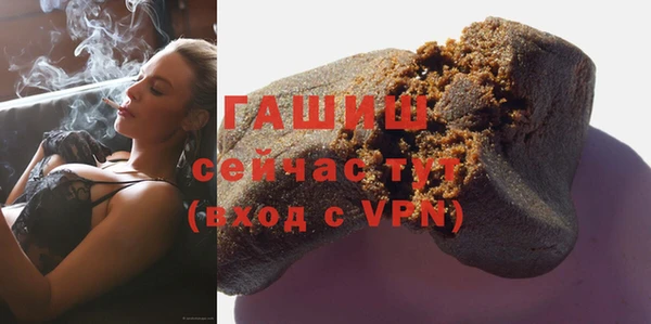 хмурый Арсеньев