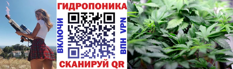 даркнет сайт Ленск kraken зеркало Шишки марихуана Bruce Banner